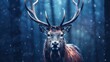 © kucret - close up elk with snowfall background