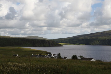 Wall Mural - Stein - Waternish - Isle of Skye - Highlands - Scotland - UK