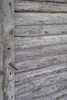 Stare drewniane drzwi z metalową klamką. Tło i tekstura drewniane deski