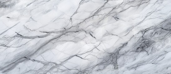 Wall Mural - Detailed close-up view of the natural, intricate texture of white marble, showcasing its patterned surface in high definition.