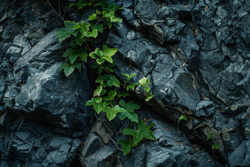 Poster - A minimalistic wall, the dark surface broken only by subtle veins.