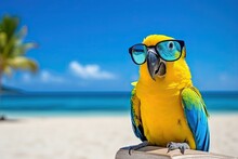 Colorful Parrot In Sunglasses Sitting On Summer Tropical Beach, Blue Sea And Bright Sky