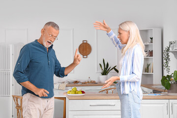 Wall Mural - Mature couple quarreling in kitchen. Divorce concept