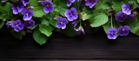 Wall Mural - Vibrant Purple Blooms Adorning a Rustic Wooden Surface in a Serene Floral Composition