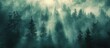A dense fog covers a vast forest filled with tall trees, creating a mysterious and atmospheric scene.