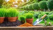 garden design ideas, maintenance, and lawn fertilizer 