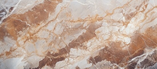 Wall Mural - This close-up view showcases a detailed marble surface featuring intricate patterns in brown and white colors. The natural breccia marbel tiles form a unique texture,