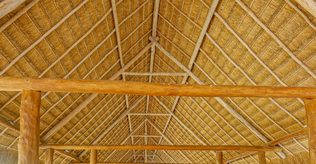 Thatched Roof with Beams