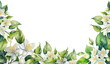 watercolor jasmine flower isolated on white background. border corner. jamine leaves PNG