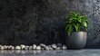 Stones flowerpot houseplant 3d rendering
