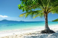 Green Tree On White Sand Beach. Malcapuya Island, Palawan, Philippines. Generative Ai.
