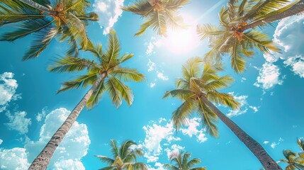 Wall Mural - Palm Trees, Iconic images of swaying palm trees against azure skies evoke a sense of tropical paradise and relaxation