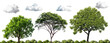 trees with cloud transparent background