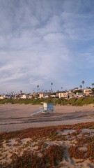 Wall Mural - beach and sea vertical video 4k