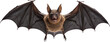 bat in motion, jumping isolated on transparent background. Generative AI.