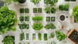A variety of potted plants and herbs viewed from above, signaling a fresh indoor garden