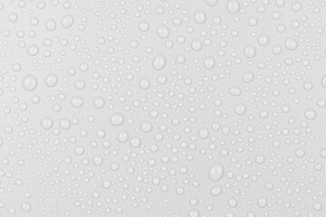 Water drops on white background texture. backdrop glass covered with drops of water. gray bubbles in water