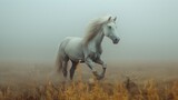 Fototapeta Konie - White Horse Galloping in Misty Meadow at Dawn