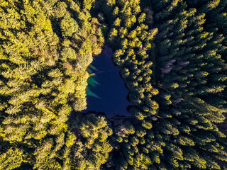 Wall Mural - Schöne Herbstwanderung durch den Sternengrund zwischen Zella-Mehlis und Oberhof im Thüringer Wald - Thüringen - Deutschland