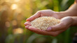 A person holding a small pile of grains rice in their hands.