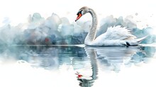 A White Swan Is Swimming In A Body Of Water