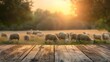 Golden sunset illuminating a peaceful farmland scene with grazing sheep and a rustic wooden foreground.