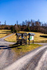 Wall Mural - Eine Frühlingshafte Wanderzeit durch den wunderschönen Thüringer Wald bei Steinach - Thüringen - Deutschland