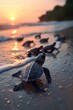 Little turtles explore the sandy beach heading towards the ocean waves at sunset.