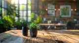 Fototapeta Kuchnia - Wooden Table With Potted Plants by Window