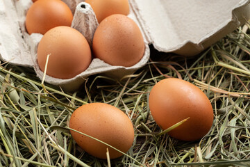 Wall Mural - Homemade chicken eggs in a cardboard tray on a straw.