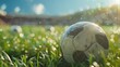 Football ball on the grass of the stadium in close-up. Cinematic. AI generative.