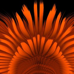 Wall Mural - distortion of orange flower petals against a black background