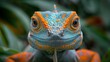 Wildlife photo, symmetrical close-up portrait shoot in green jungle of an expressive lizard