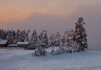 Canvas Print - Russia. The South of Western Siberia, the Altai Mountains. A cloudless frosty dawn on the not frozen snow-covered Biya River near the village of Kebezen.