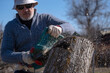 Chain saw operation. A saw is sawing off part of an old tree in the background by the man who is holding it. Sawdust flies in different directions.