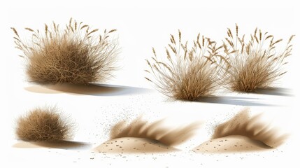 Wall Mural - A set of flow desert sand, dead plants, rolling dry bushes, old tumble grass on a transparent background. A modern realistic set of flow desert sand, dead plants, rolling dry bushes, and brown dust