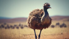  An Ostrich Standing In The Middle Of A Field With A Group Of Birds In The Distance In The Background.