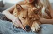 A woman caresses a cute ginger dog, sleeping on her lap. Close-up. Trust, calmness, care, friendship, the concept of love. 
