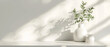 © The CopySpace Stock - Vases and plants isolated on white marble table and white background with lense flare and copy space, apartment or kitchen interior design