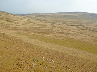 Poster - Hills of Dartmoor in Devon	