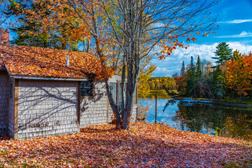 Wall Mural - New Hampshire-Errol-Bear Brook