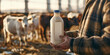 A middle-aged farmer in a plaid shirt holding a milk bottle in a stable with dairy cows in warm sunlight