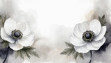 Fototapeta Kwiaty - Białe kwiaty zawilce. Puste białe miejsce