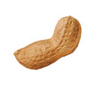 Peanut shell isolated on transparent layered background.