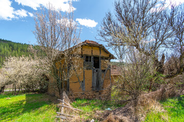 Wall Mural - old abandoned house