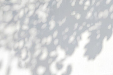 Aufkleber - Tree shadow and leaf branch with light bokeh background. Nature leaves tropical jungle light and dark shadow dappled on white concrete wall texture for background wallpaper, overlay effect and design
