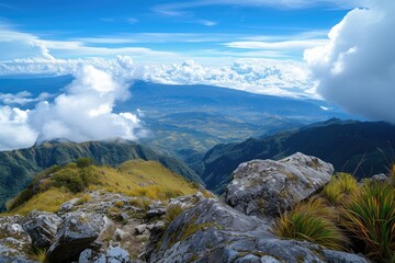 Wall Mural - view from the top of a high mountain peak overlooking an expansive landscape below