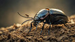 Symbolbild eines schwarzen Käfers