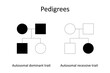 Pedigrees. Autosomal dominant trait and abtosomal recessive traite.
