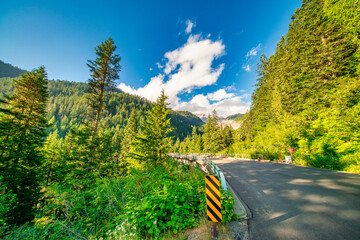 Poster - Amazing view of Mount Rainier National Park in summer season, Washington - USA